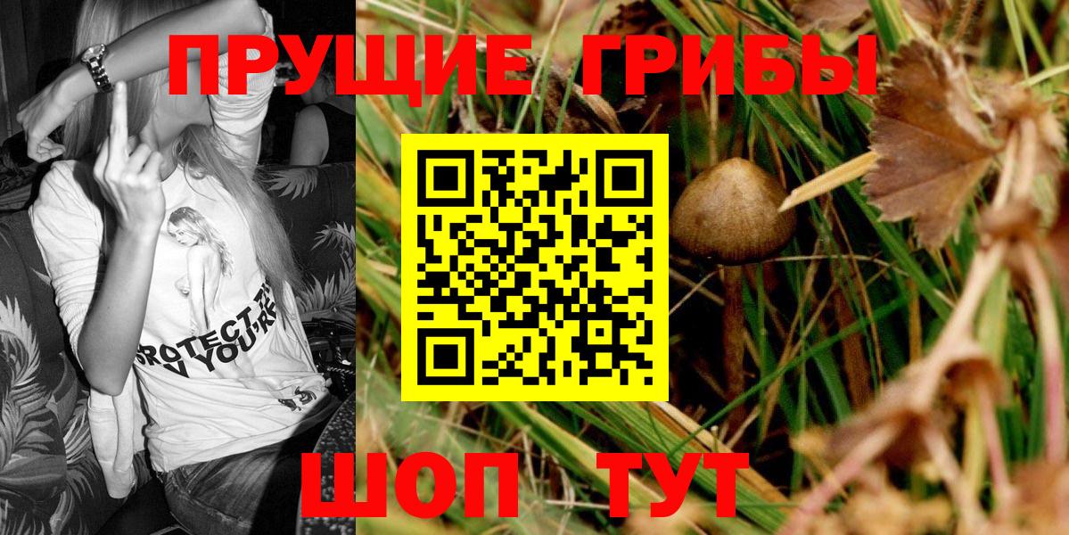 Псилоцибиновые грибы GOLDEN TEACHER  Вход с VPN  Стрежевой  Псилоцибиновые грибы MAGIC MUSHROOMS 