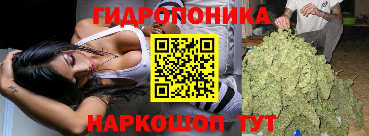 Бошки Шишки конопля Стрежевой